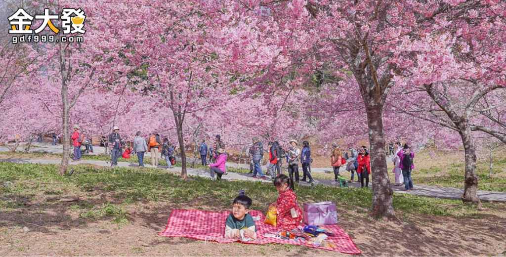 福壽山千櫻園